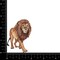Lion Walking, Realistic Animals, Safari, Embroidered Iron on Patch